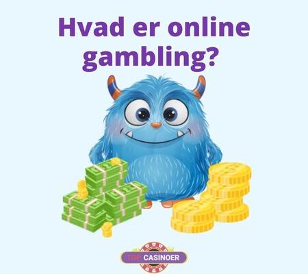Hvad er online gambling? 